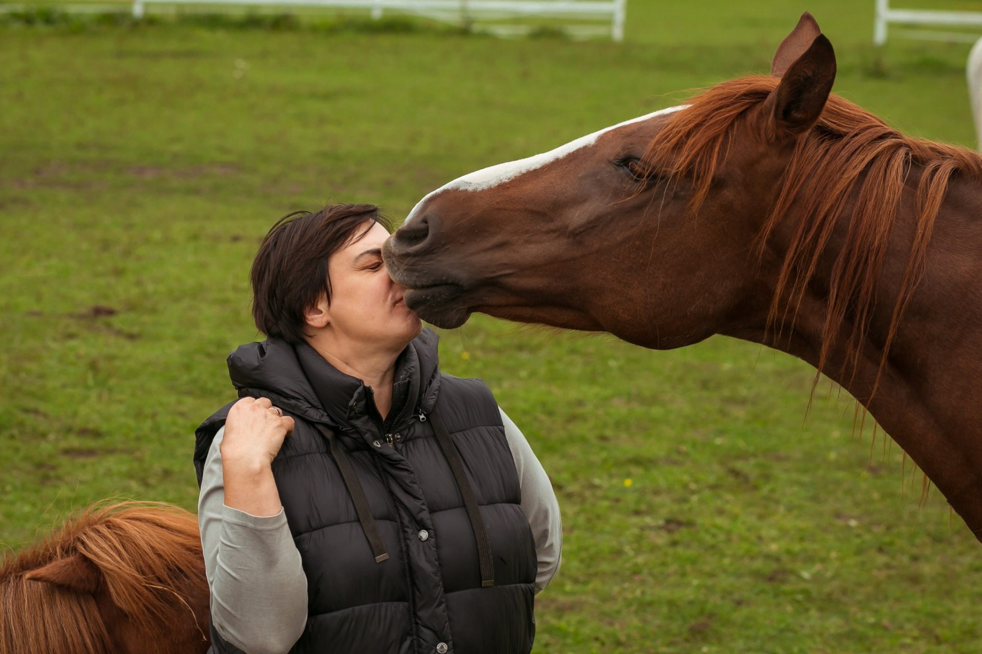 Zirga kontakts ar bērniem Zirgu asistētās terapijas centrā