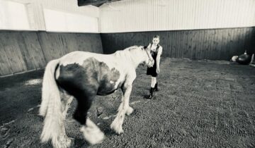 Par zirgiem un enerģiju