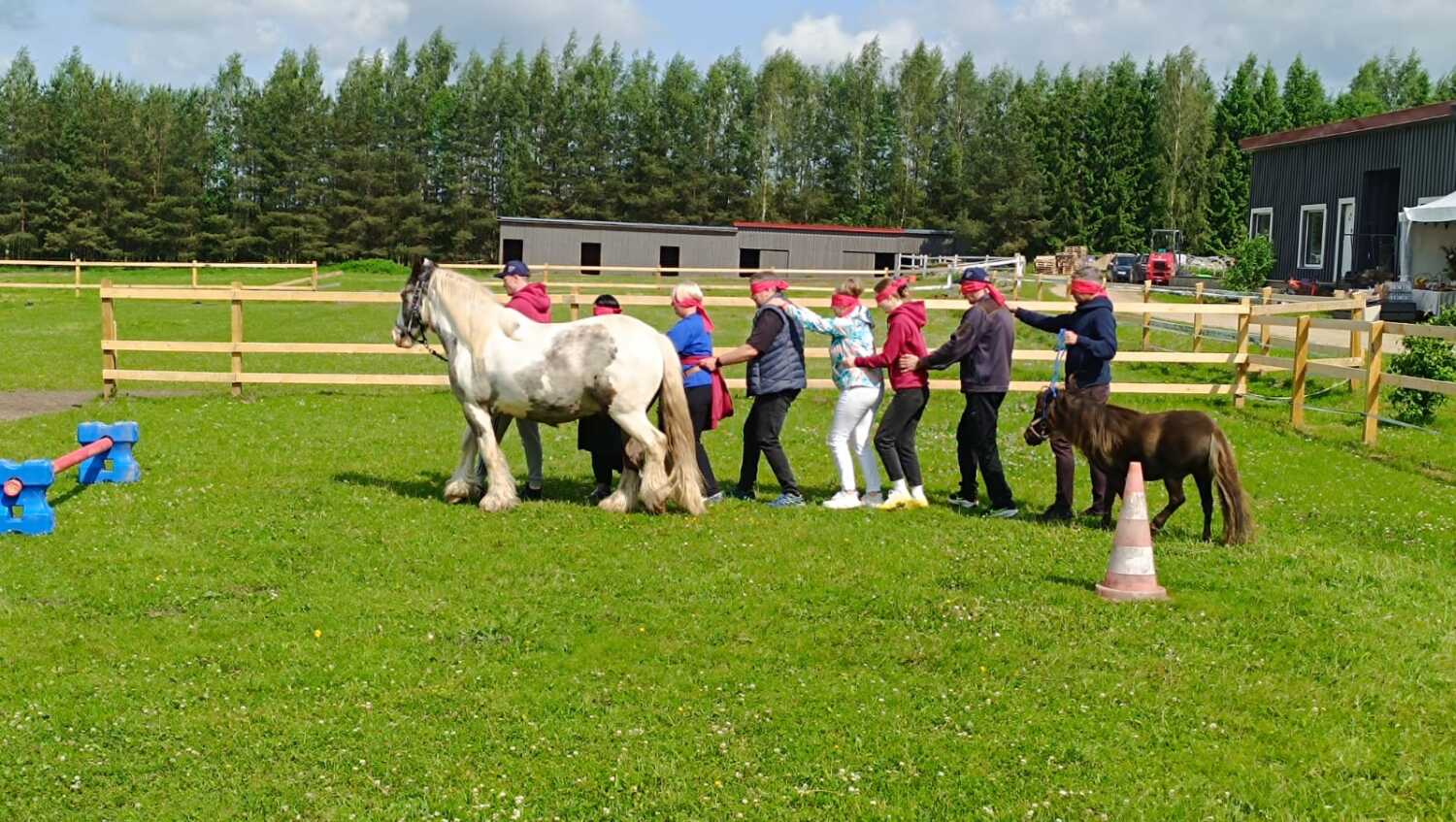 PHOTO-2025-06-19-13-23-54 4.jpg